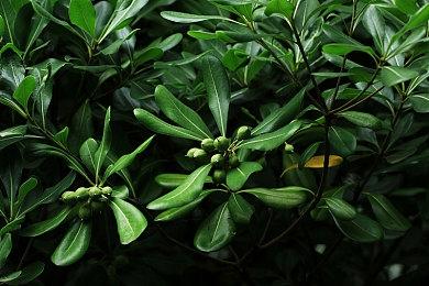 《守望先锋：归来》2.1.0.1版补丁实装 更新日志公布